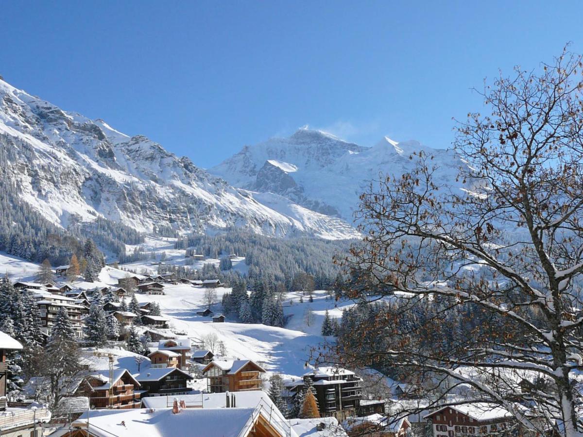 Apartment Mittaghorn-3 By Interhome Wengen Dış mekan fotoğraf