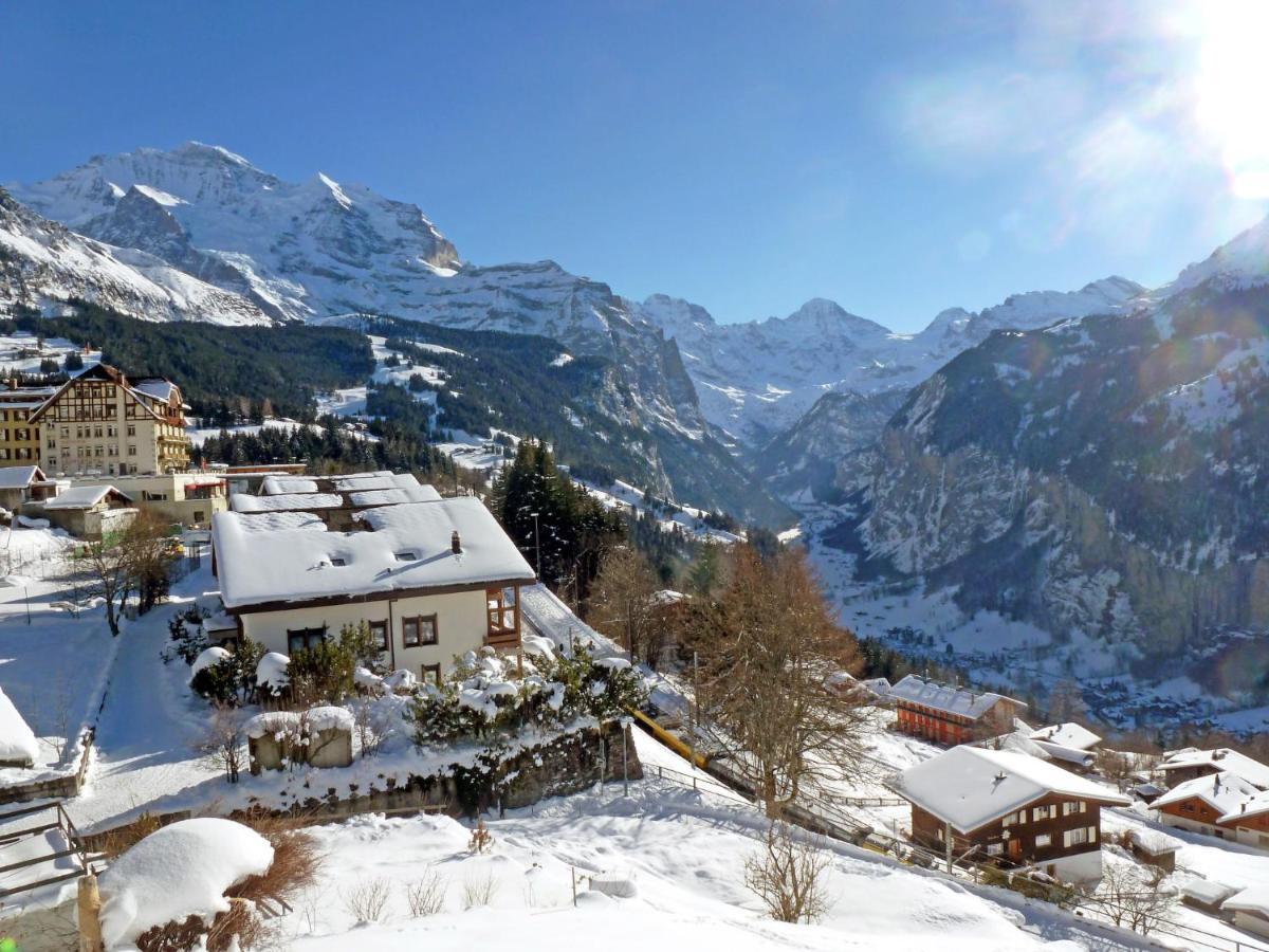 Apartment Mittaghorn-3 By Interhome Wengen Dış mekan fotoğraf