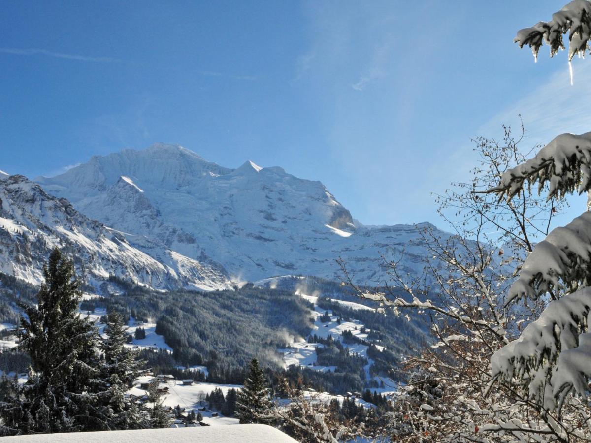 Apartment Mittaghorn-3 By Interhome Wengen Dış mekan fotoğraf